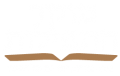 logoWhite